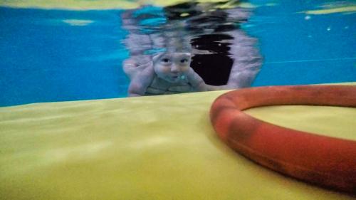 A young child under water