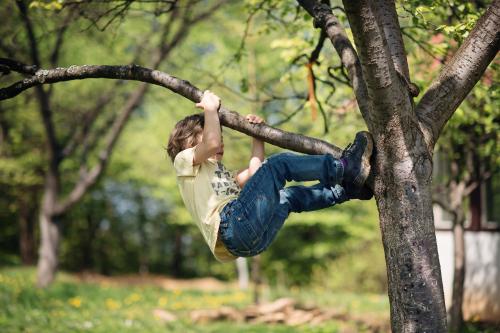 Un petit garçon grimpe à un arbre