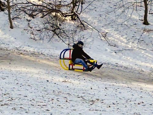 Le pilote descend la montagne sur sa luge QUADRO