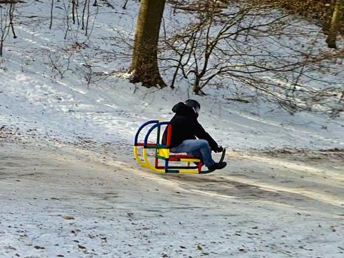 Le pilote descend la montagne sur sa luge QUADRO