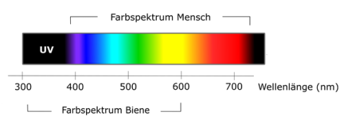 Farbspektrum